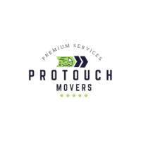 Videographer Pro Touch Movers in Jacksonville FL
