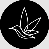 Montrose Cannabis Pickering