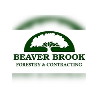Videographer Beaver Brook Forestry & Contracting in 34903 Salem Rd Parkhill ON