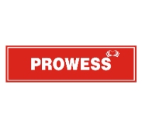 PROWESS - IELTS Institute in Ambala